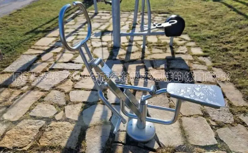 XC-SPORT